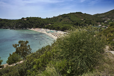 Similar image 1559682