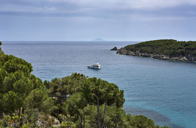 Similar image 1559683