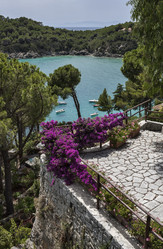 Similar image 1559684