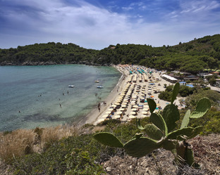 Similar image 1559694