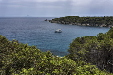 Similar image 1559695