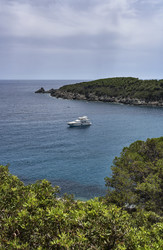 Similar image 1559696