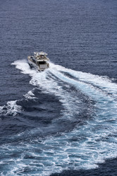 Similar image 1559701