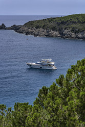 Similar image 1559712