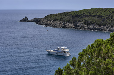 Similar image 1559713