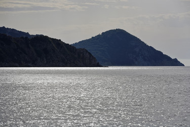 Similar image 1559740