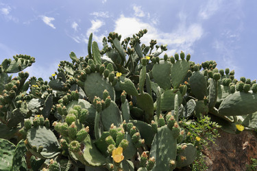 Similar image 1559747