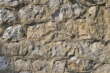 Similar image 1559818