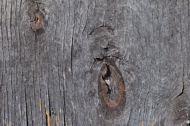 Similar image 1559819