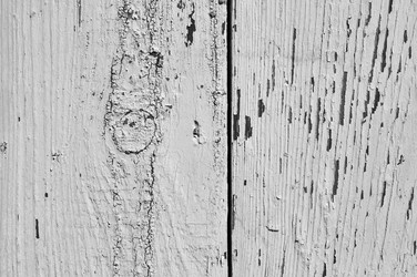 Similar image 1559820