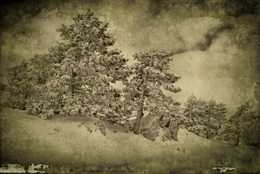 Similar image 1559837