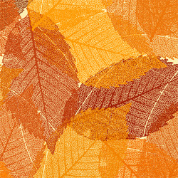 Similar image 1559888