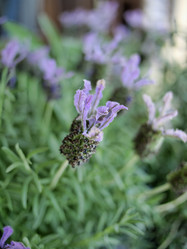 Similar image 1559937