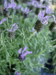 Similar image 1559945