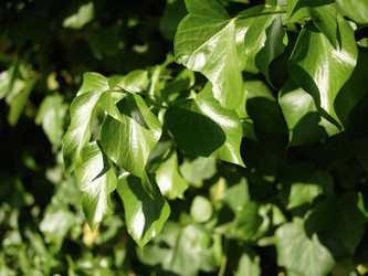 Similar image 1559946