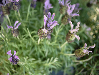 Similar image 1559947