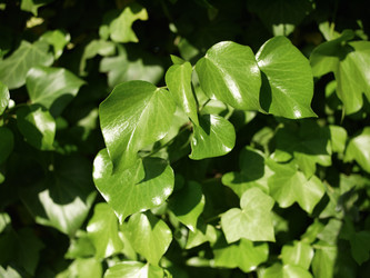 Similar image 1559952