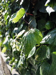 Similar image 1559966