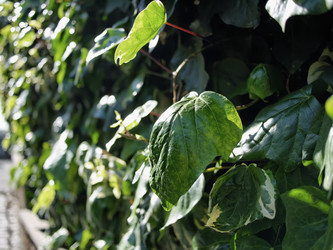 Similar image 1559974