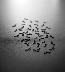 Similar image 1560023