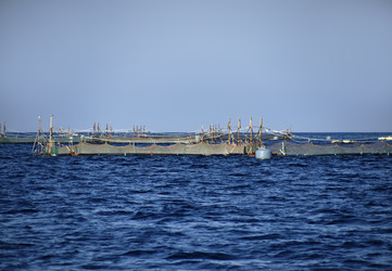 Similar image 1560024