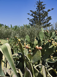 Similar image 1560041