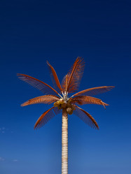 Similar image 1560043