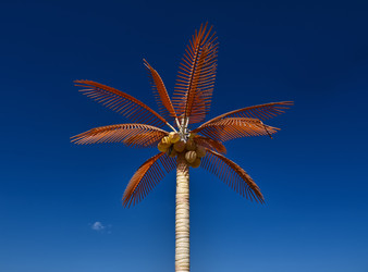 Similar image 1560044