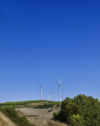 Similar image 1560057