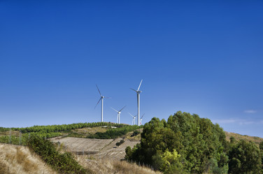 Similar image 1560065