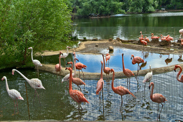 Similar image 1560136