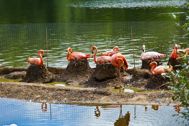 Similar image 1560137