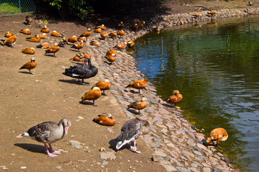 Similar image 1560138