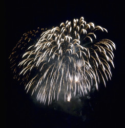 Similar image 1560158