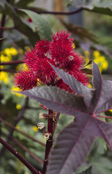 Similar image 1560162