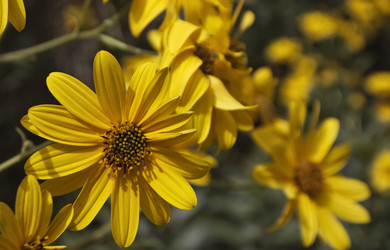 Similar image 1560164