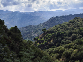 Similar image 1560171