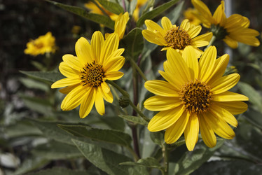 Similar image 1560175