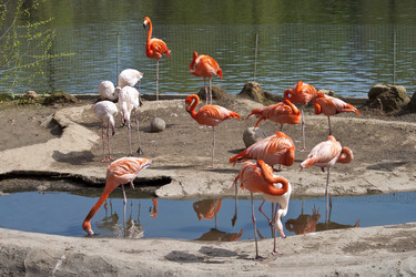 Similar image 1560178