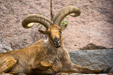 Similar image 1560184