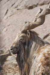 Similar image 1560193