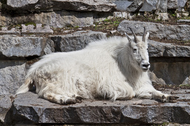 Similar image 1560195