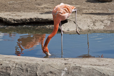 Similar image 1560197