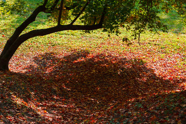 Similar image 1560229