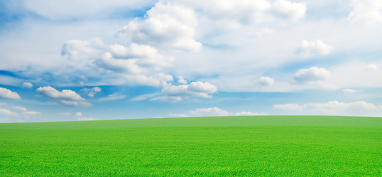 Similar image 1560245