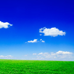 Similar image 1560259