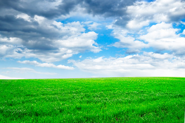 Similar image 1560260