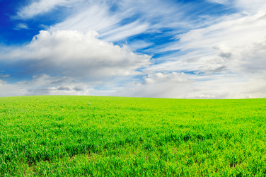 Similar image 1560266