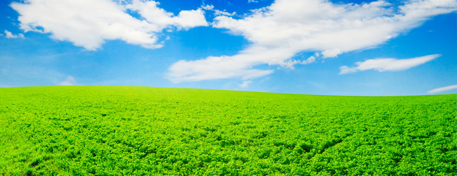 Similar image 1560267