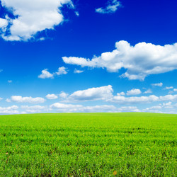 Similar image 1560285